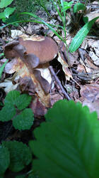 IMG-20190714-WA0028.jpg
