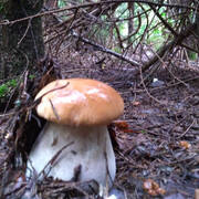 IMG-20190721-WA0010.jpg