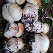 IMG-20190721-WA0025.jpg