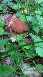 IMG-20190714-WA0004.jpg