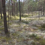 IMG-20190711-154756.jpg