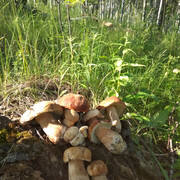 IMG-20190603-082355.jpg
