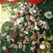 IMG-20190604-WA0000.jpg