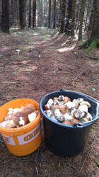 IMG-20190718-WA0004.jpg