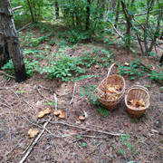 IMG-20190807-131109.jpg