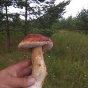 IMG-20190711-175831.jpg