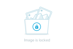 5133514_original.jpg