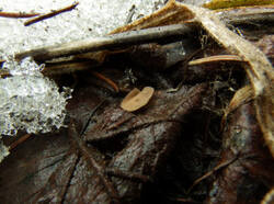 101992_300.jpg