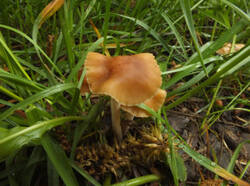 14288267_300.jpg