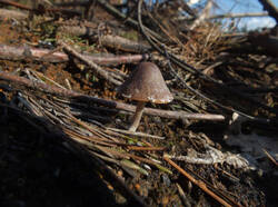 14305057_300.jpg