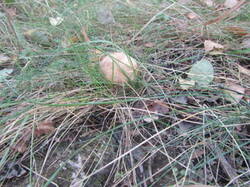 0_1411eb_cbc25109_M.jpg