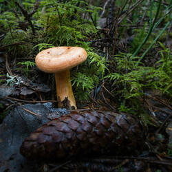 0_1c8614_b12c8d15_M.jpg