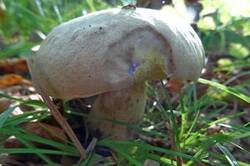 0_1cb4dc_1093c0f5_M.jpg