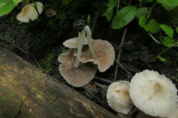 0_16b4ef_abca1569_M.jpg