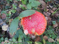 0_13ecc6_6b9ec021_M.jpg