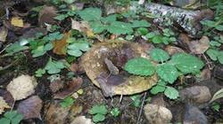 0_123ddd_55b90a59_M.jpg
