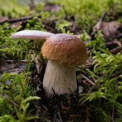 0_1c8617_ff5d0f6c_M.jpg