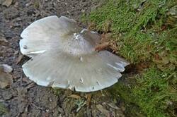 0_1c9848_d45458ff_M.jpg