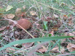 0_13eccf_ca903b95_M.jpg
