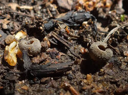 0_11898c_15ec717a_orig