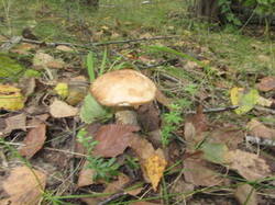 0_13fc5b_5244aaee_M.jpg