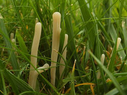 0_dafab_8797d06a_M.jpg