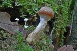 0_1cd8c3_f9727054_M.jpg