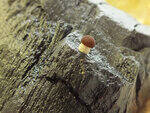 0_c7089_2562fec9_S.jpg