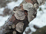 0_c7031_58fc2d2_S.jpg