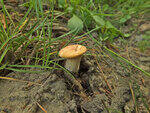 0_c704a_95a2701b_S.jpg