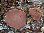 0_c7038_6e839a09_S.jpg