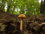 0_c7059_9b17736f_S.jpg