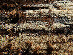 0_c7060_658965b_S.jpg