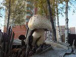 0_c707b_6498df16_S.jpg