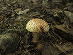 0_c705d_c42fa489_S.jpg