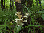 0_c7055_c4646b4f_S.jpg