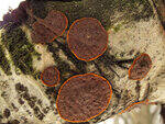 0_c7034_be7ae966_S.jpg