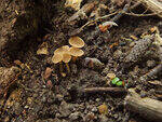 0_c706d_e6125c17_S.jpg