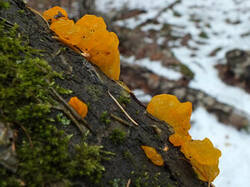 0_c6bb2_14e2754a_M.jpg