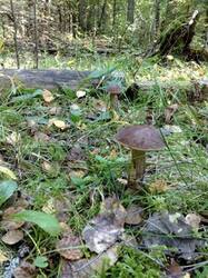 0_be819_3e03dbcb_M.jpg