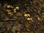 0_c705b_ce1301b5_S.jpg