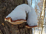 0_c702f_af63233b_S.jpg