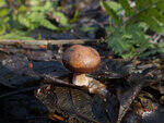 0_c703b_95482a6e_S.jpg