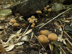 0_c7043_3519cb76_S.jpg
