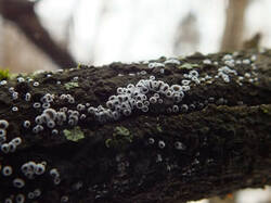 0_c6b30_41651a18_M.jpg