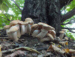 0_c7075_fbb1be45_S.jpg