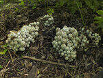 0_c704c_28816005_S.jpg