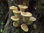 0_c7049_7923e8a8_S.jpg