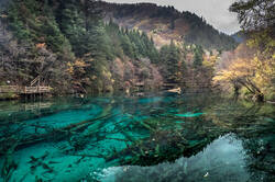 0_a03f1_50081c96_L.jpg