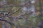 0_e8691_1290220_S.jpg
